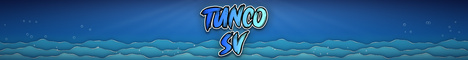 TuncoSV banner