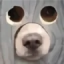 TakoLOL logo