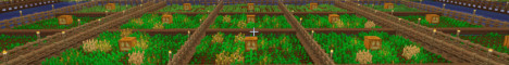 StoneAge banner