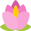 BloomsCraft logo