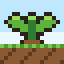 Foldgrove - Cozy FarmVille Farming logo