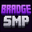 Bradgessmp logo