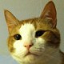 CatsCraft.net logo