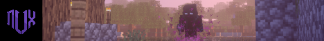 NVX Anarchy banner