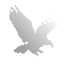 WingPvP logo