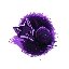 ApexNW logo