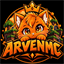 ARVENMC - Türkiyenin En İyi Towny Sunucusu logo