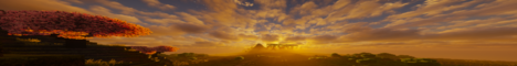 xevex.net banner