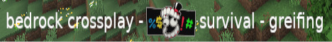 sallys community server banner