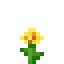 DandelionSMP logo