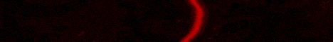 mcDaily banner
