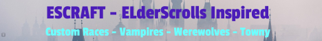 ESCraft banner