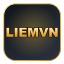 LIEMVN NETWORK logo