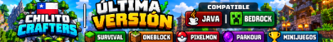 Survival, OneBlock, Pixelmon | Java&Bedrock banner