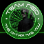Team-NeOs Survvial With A Twist Server logo