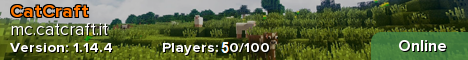 CatCraft banner