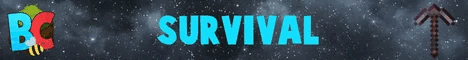 Binstercraft Public SMP - Season 5: 1.21 banner