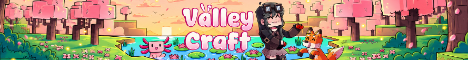 ValleyCraft banner
