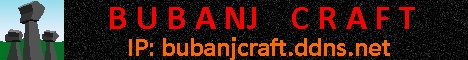 BUBANJ CRAFT banner