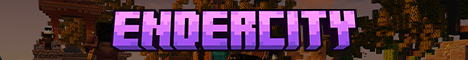 EnderCity.Net banner