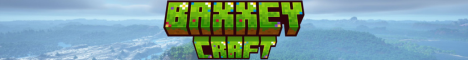 Baxxeycraft banner