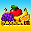 owockowo logo