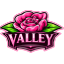 ValleyPvP logo