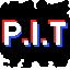 P.I.T True Anarchy/Survival logo