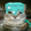 Zazu SMP logo