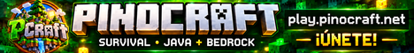 Pinocraft banner