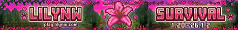 LILY NETWORK banner