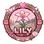 LILY NETWORK logo