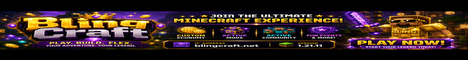 BlingCraft banner