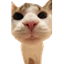 MeepCraft.com - Ultimate Economy Experience logo