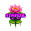 NympeaeNetwork logo