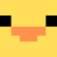 DUCK MC IL logo