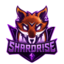 ShardRise logo