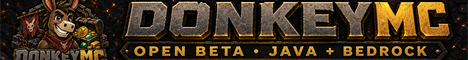DonkeyMC | Open Beta banner