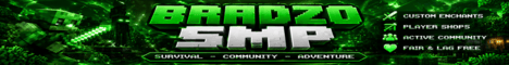 Bradge SMP banner