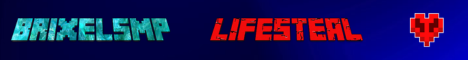 BrixelSMP banner