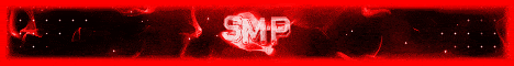 Voidsmp banner
