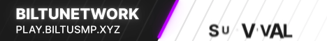 LifeMC banner