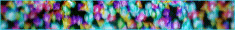 FrostBerry banner