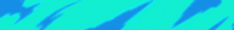 SkallCraft Network banner