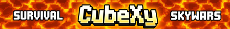 CubeXy banner