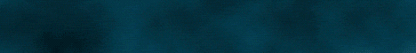 Badlion Network banner