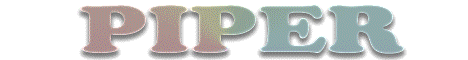 M.I.A. SMP Creative Skyblock banner