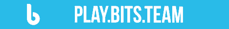 Bits Minecraft banner