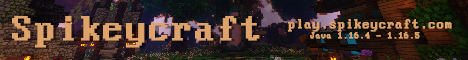 Spikeycraft banner