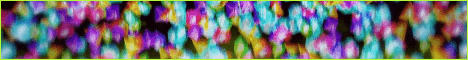LushSMP banner